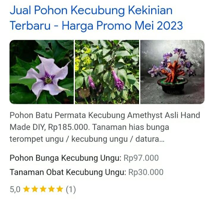 10 Tanaman Hias ini Ternyata Berbahaya Lho, Termasuk Kecubung dan Lidah Mertua!