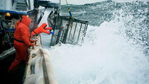 Fakta Kelam di Balik Hidangan Kepiting Alaska! Banyak Nelayan Tewas Karena Ini!