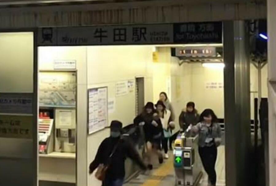 Viral WNI di Jepang Tidak Bayar Tiket Kereta Shinkansen, Begini Fakta Sebenarnya!