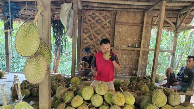 Apakah Gansist Pecinta Durian dan Petualang, Di Baduy Sekarang Lagi Musimnya Lho!