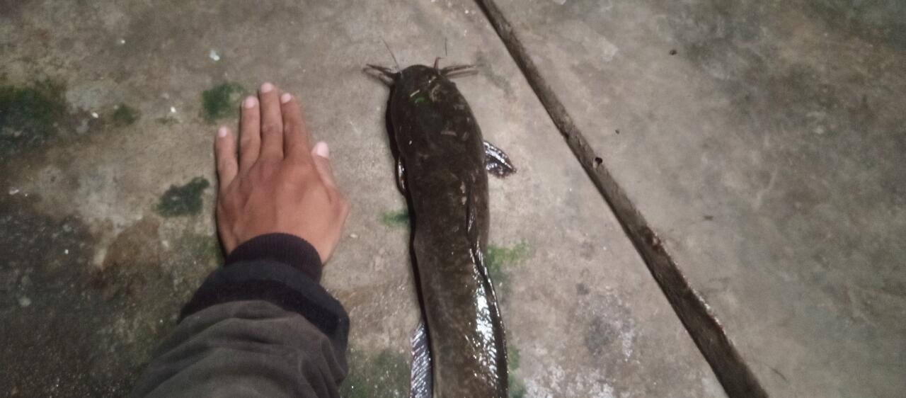 Khusus Foto Tentang Mancing.