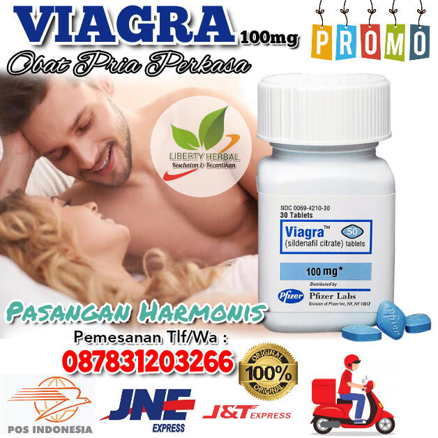 Suplemen Vitamin Kesehatan Pria VGR USA 100mg Original 087831203266