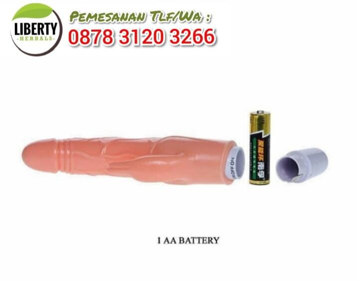 Vibrator Untuk Wanita Pens Sakky Silikon Getar 087831203266