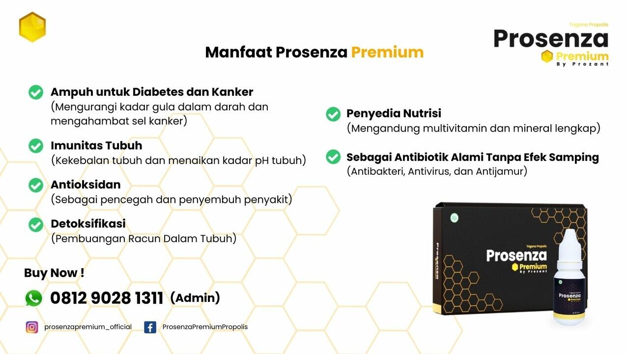 PALING MURAH, 0812.9028.1311 Jual Obat Diabetes Prosenza Premium Propolis
