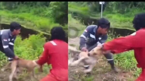 Viral Buang Anjing hingga Diterkam Buaya, 3 Pria Kaltara Diamankan