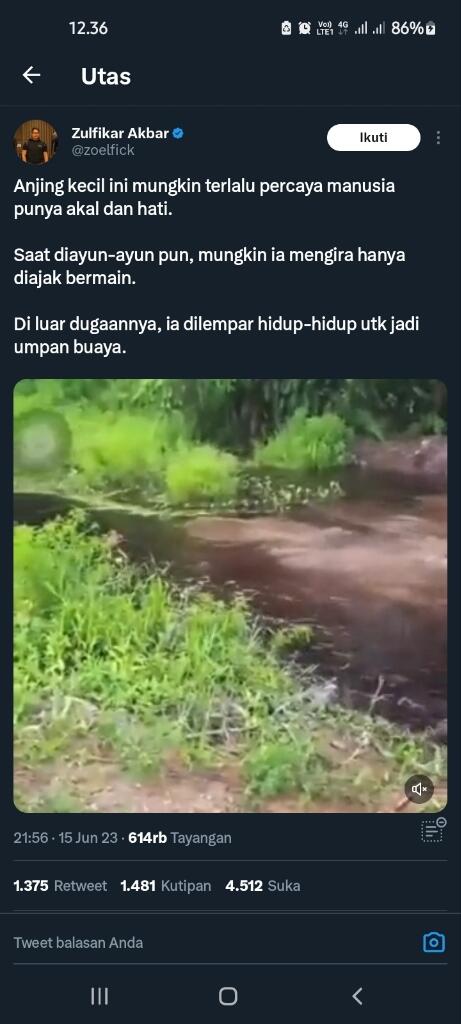 SADIS..!! ANJING KECIL MALANG YANG DI LEMPAR UNTUK BUAYA