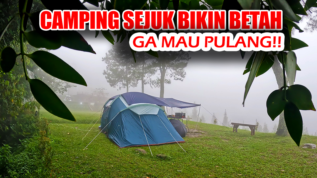 Bermalam Di Hutan Damar Dalam Di Iringi Gemericik Hujan yang syahdu