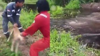 Nasib Istri Pelaku Pelempar Anjing ke Buaya, Dihujat Netizen dan Dibenci Tetangga!