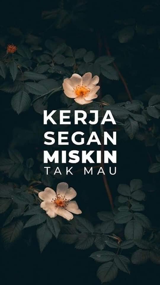 Penciptaan lapangan kerja disebut jadi solusi penghapusan kemiskinan ekstrem