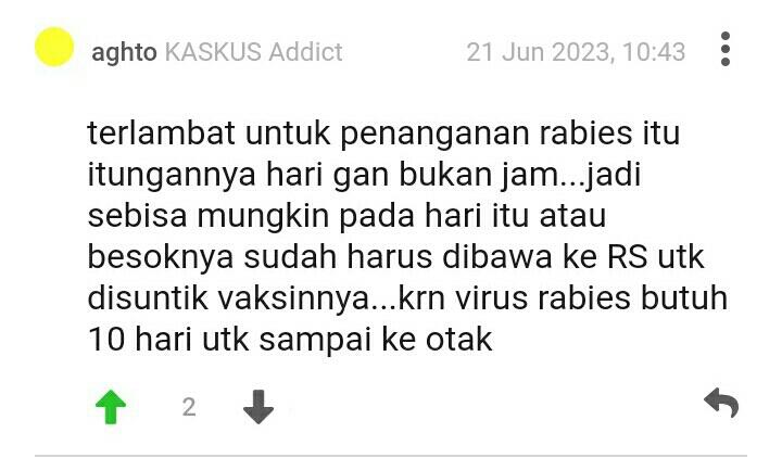 Balita di Buleleng Meninggal Digigit Anjing Gila, Begini Pertolongan Pertama Rabies
