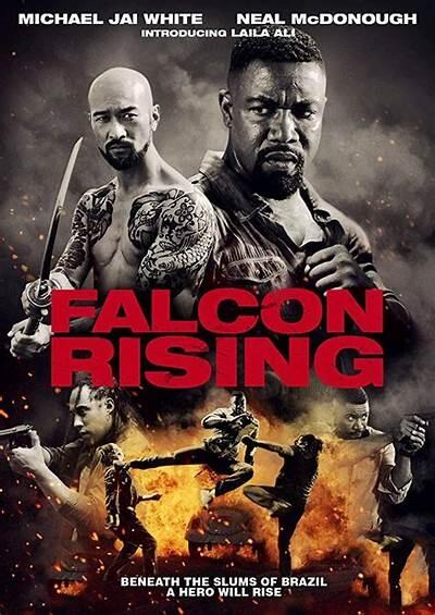 Review Film | Falcon Rising