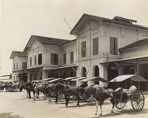 Penunggu Pohon Mangga dan Mplo si supir Andong 