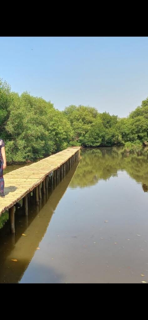 Wisata Alam Bebas Di Taman Wisata Mangrove