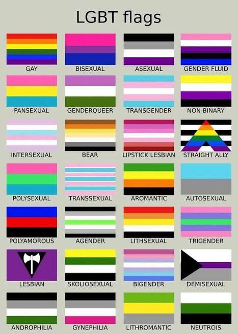 Arti dan Makna Bendera LGBT JONES WAJIB TAU!!!