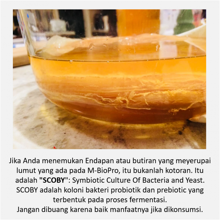 M Biopro, Manfaat M Biopro, Khasiat M Biopro Nganjuk Kabupaten Nganjuk Jawa Timur