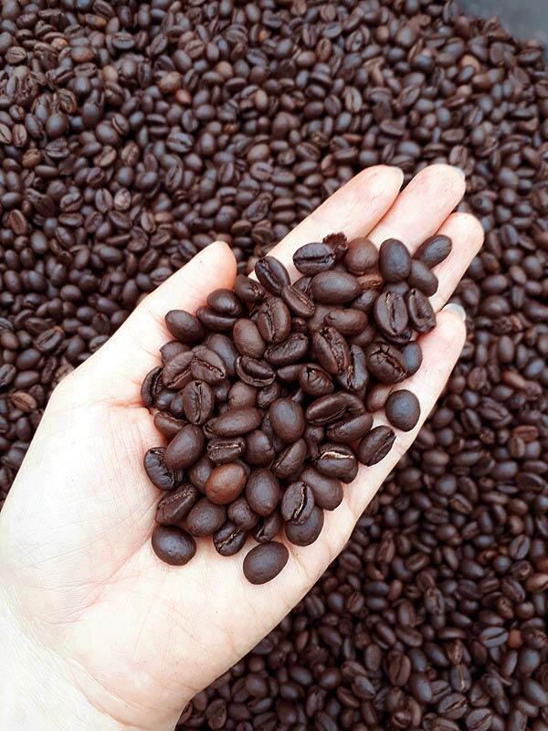 Bagi yang Suka Kopi, Ini Tentang Kopi Liberika