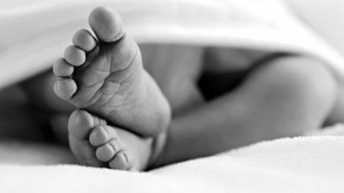 Mayat Bayi Ditemukan di Depan Universitas Sahid, Terbungkus Tas Coklat 