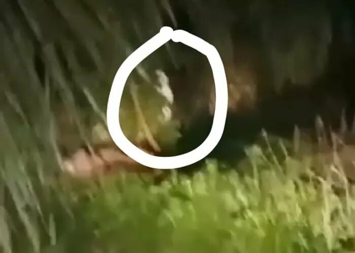 5 Fakta Teror Pocong di Rembang yang Bikin Resah Warga! Real or Fake?