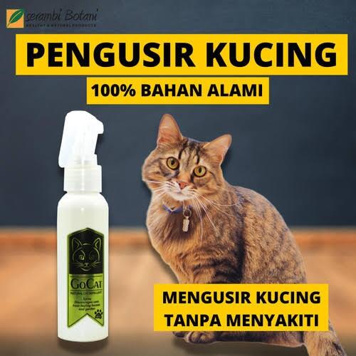 Cara Mencegah Kucing Liar Berak Di Sekitar Rumahmu!