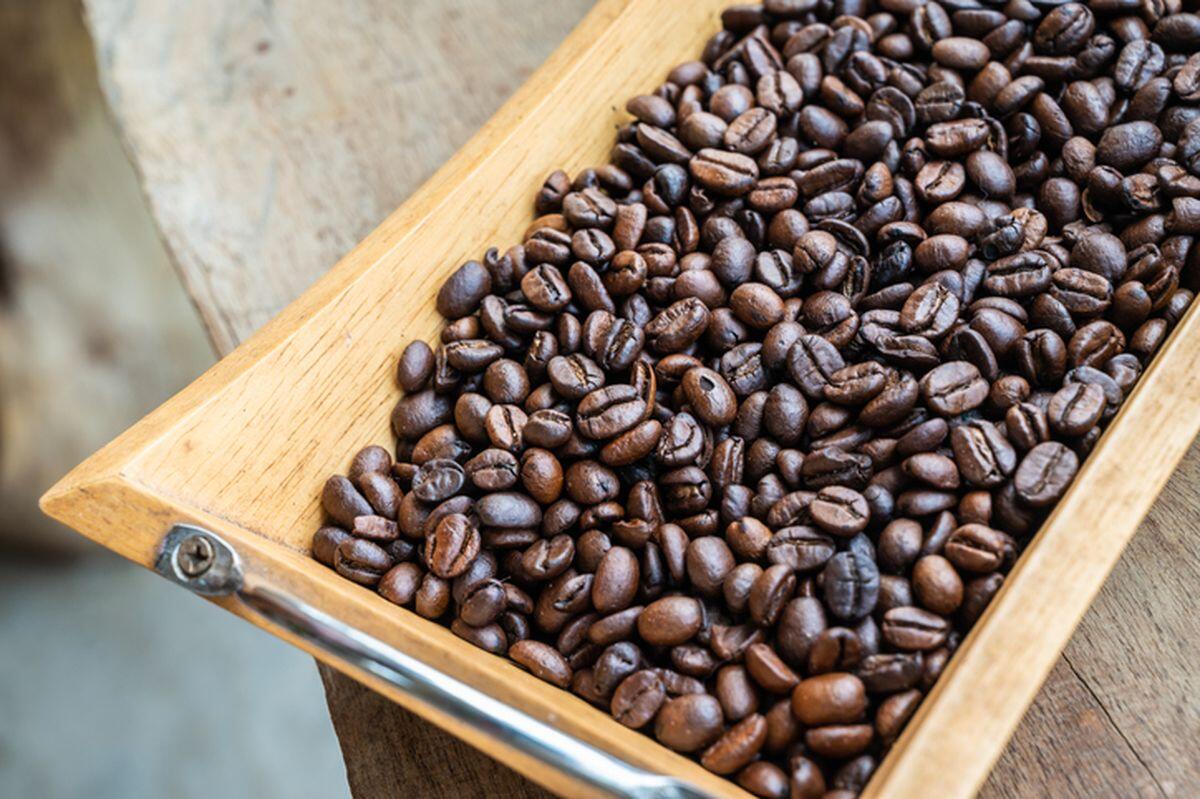 Proses Pengeringan Kopi untuk Meningkatkan Kualitas dan Efisiensi