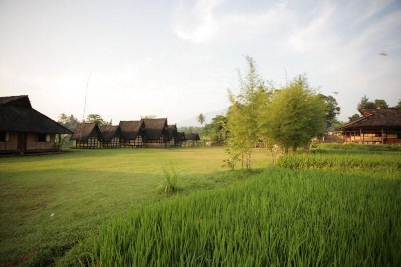 Destinasi Wisata Tersembunyi di Bogor