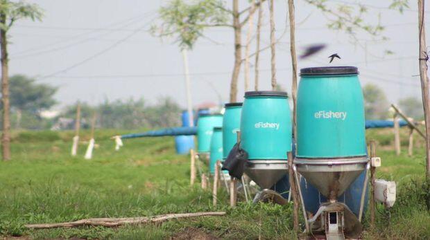 Dulu Tak Makan 3 Hari, Kini Bos Startup Harta Rp 1,5 Triliun
