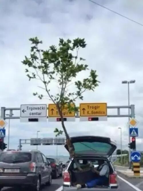 10 Potret Mobil Penumpang asal Angkut Barang Tak Wajar, Pikap dan Truk bisa Nganggur?