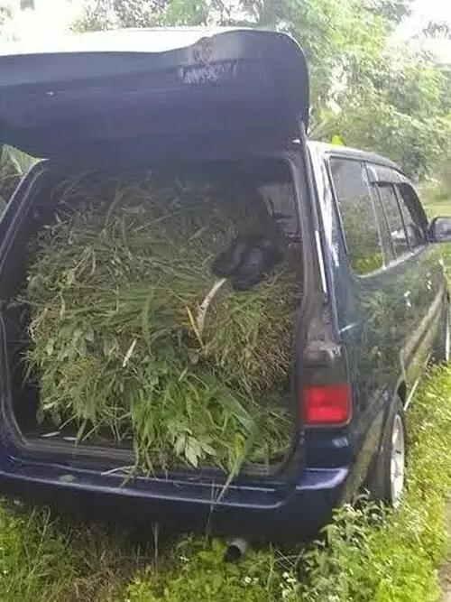 10 Potret Mobil Penumpang asal Angkut Barang Tak Wajar, Pikap dan Truk bisa Nganggur?