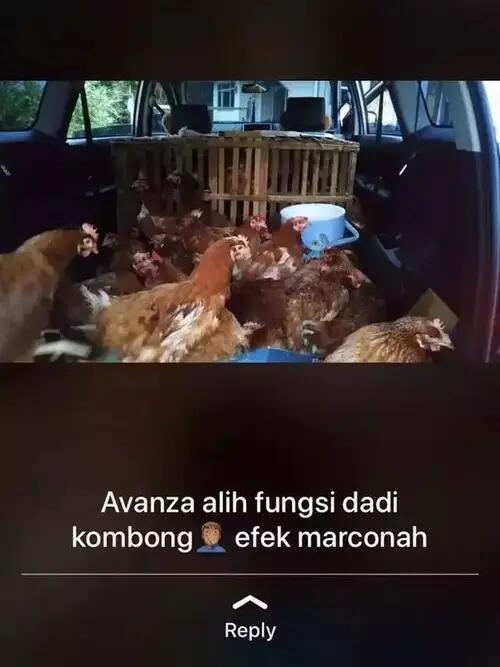 10 Potret Mobil Penumpang asal Angkut Barang Tak Wajar, Pikap dan Truk bisa Nganggur?