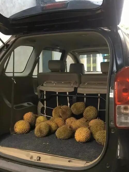 10 Potret Mobil Penumpang asal Angkut Barang Tak Wajar, Pikap dan Truk bisa Nganggur?
