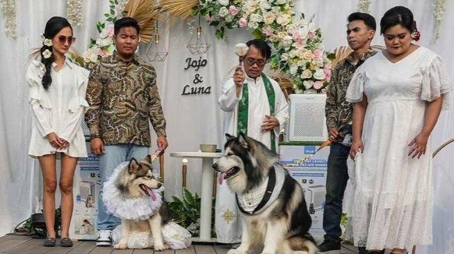 Dianggap Lecehkan Adat Jawa, Pernikahan Anjing di PIK Panen Kecaman!