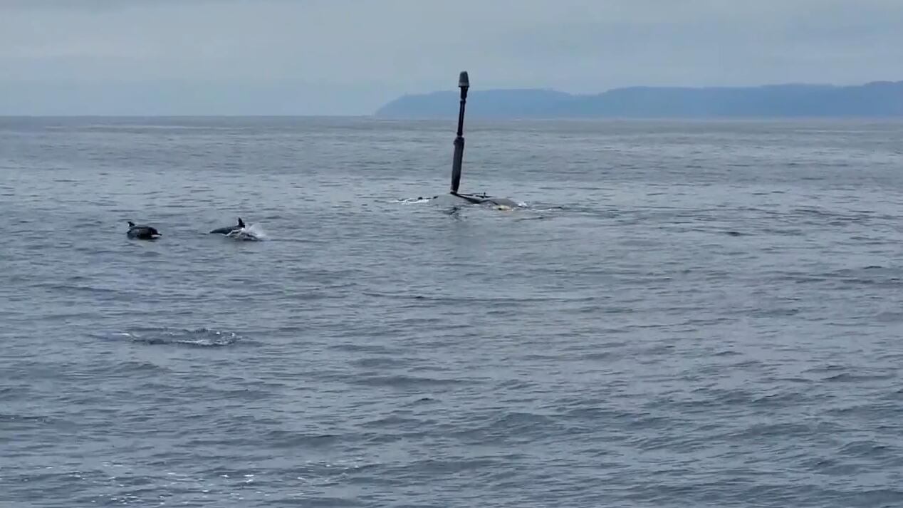 Ditemani Lumba-Lumba, Orca Buatan Boeing Memulai Uji Coba di Laut
