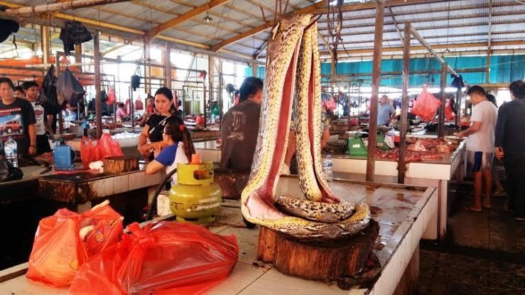 Pasar Tomohon Resmi Larang Perdagangan Daging Anjing dan Kucing? Ini Dia Alasannya!