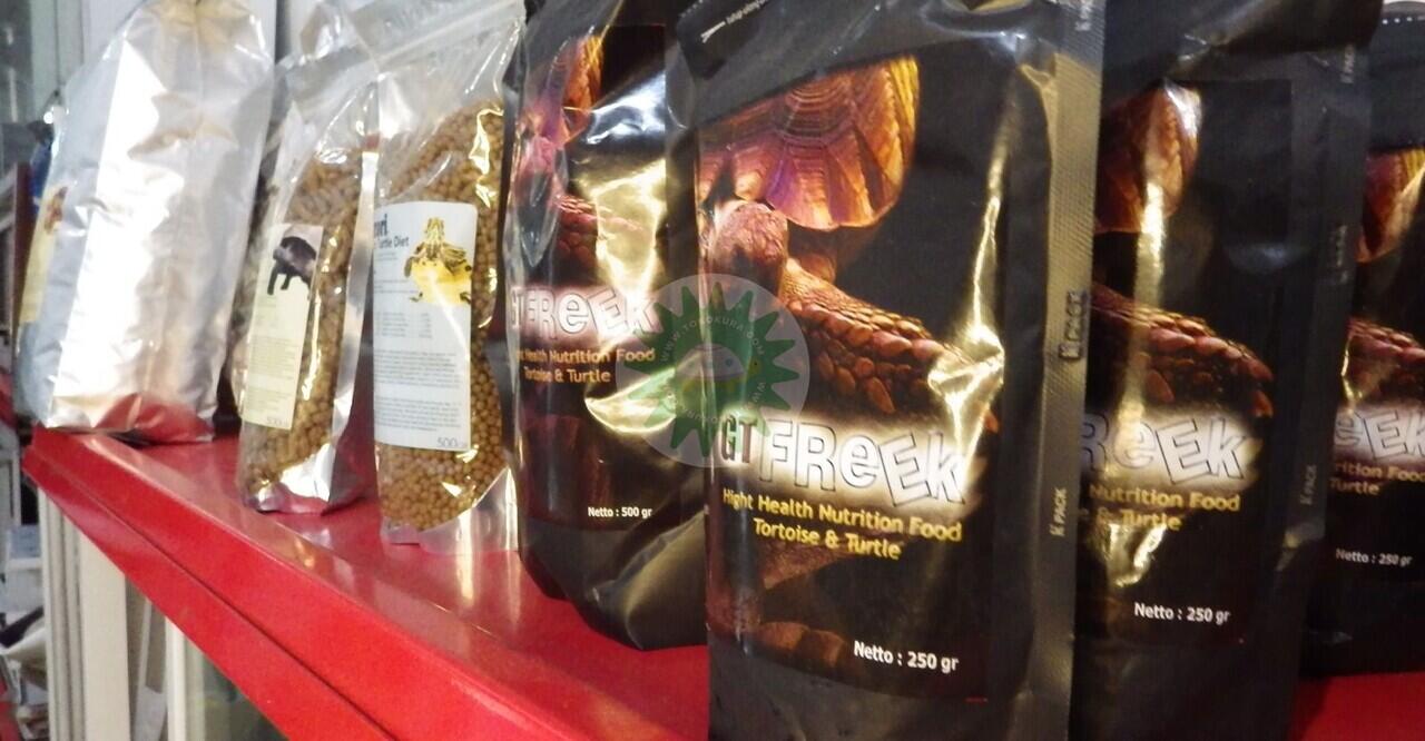 Mengenal Kura-Kura Darat Golden Greek