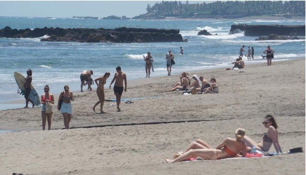 Viral Bule Berhubungan Seksual di Pantai, Lokasinya Diduga di Canggu