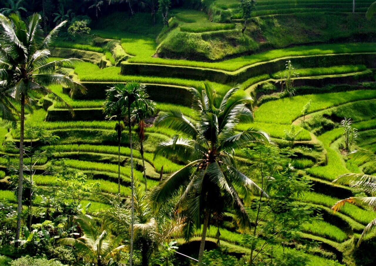 Keindahan Pulau Bali di Indonesia