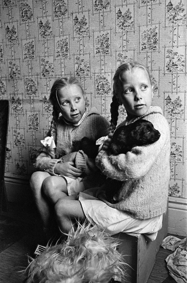 ANEH , MISTERI THE POLLOCK TWINS