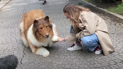 Aneh! Yang Lain Cita-citanya Jadi Astronot, Pria Jepang ini Malah ingin Jadi Anjing