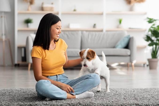 Berapa Biaya Perawatan Anjing Kesayanganmu?