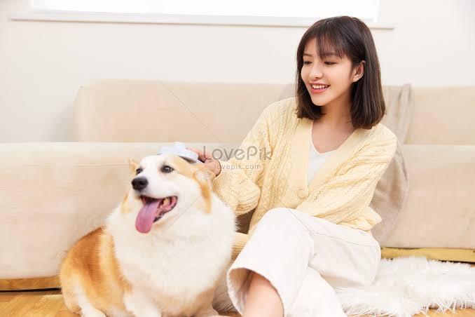 Berapa Biaya Perawatan Anjing Kesayanganmu?