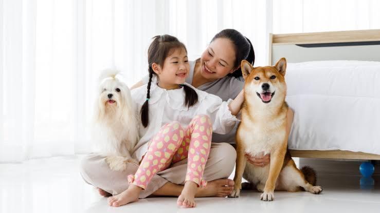 Berapa Biaya Perawatan Anjing Kesayanganmu?