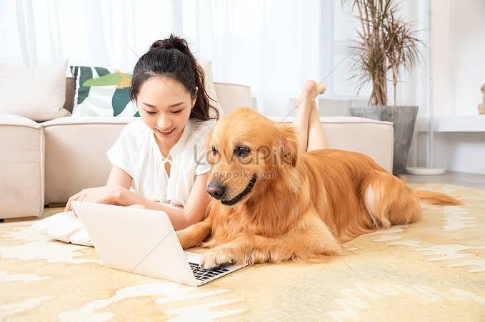 Berapa Biaya Perawatan Anjing Kesayanganmu?