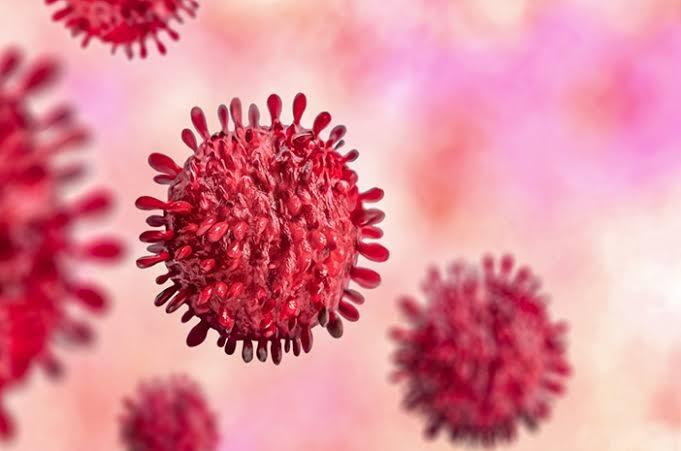 Ribuan Virus Berada Di Lautan, Fakta Ini Jarang Diketahui Manusia Pada Umumnya!