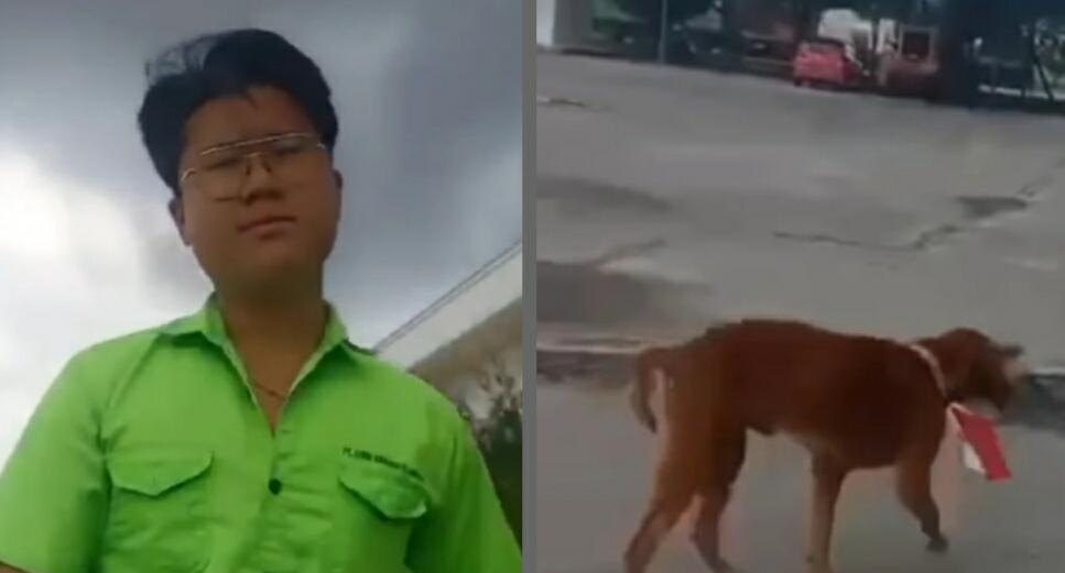 Robert Herison Pria Kalungkan Merah-putih Ke Anjing Dibebaskan, Pelajaran untuk Kita!