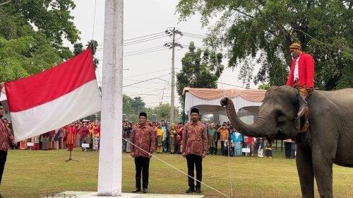 Unik, Ini Identitas 3 Gajah yang Sukses Kibarkan Bendera Saat Upacara BBSDA Riau