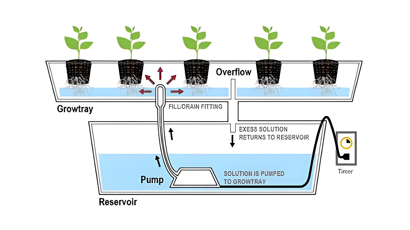 Apa Itu Deep Flow Technique (DFT)