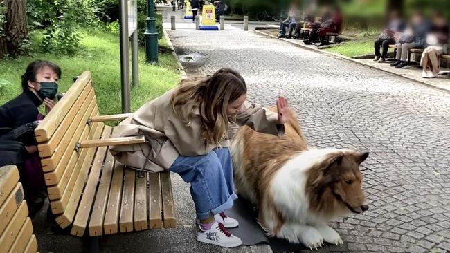 Kisah Viral: Keluarga yang Menerima Anak Anjing &#91;Kompetisi KGPT&#93;