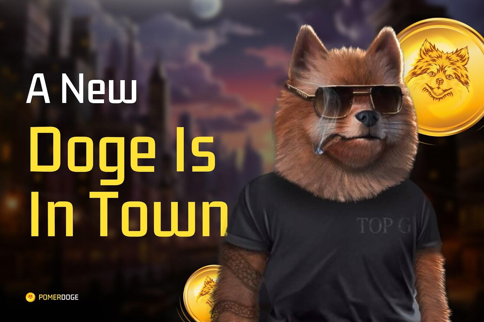 Kinerja Harga Token Meme: Shiba Inu, Pepe, dan Pomerdoge