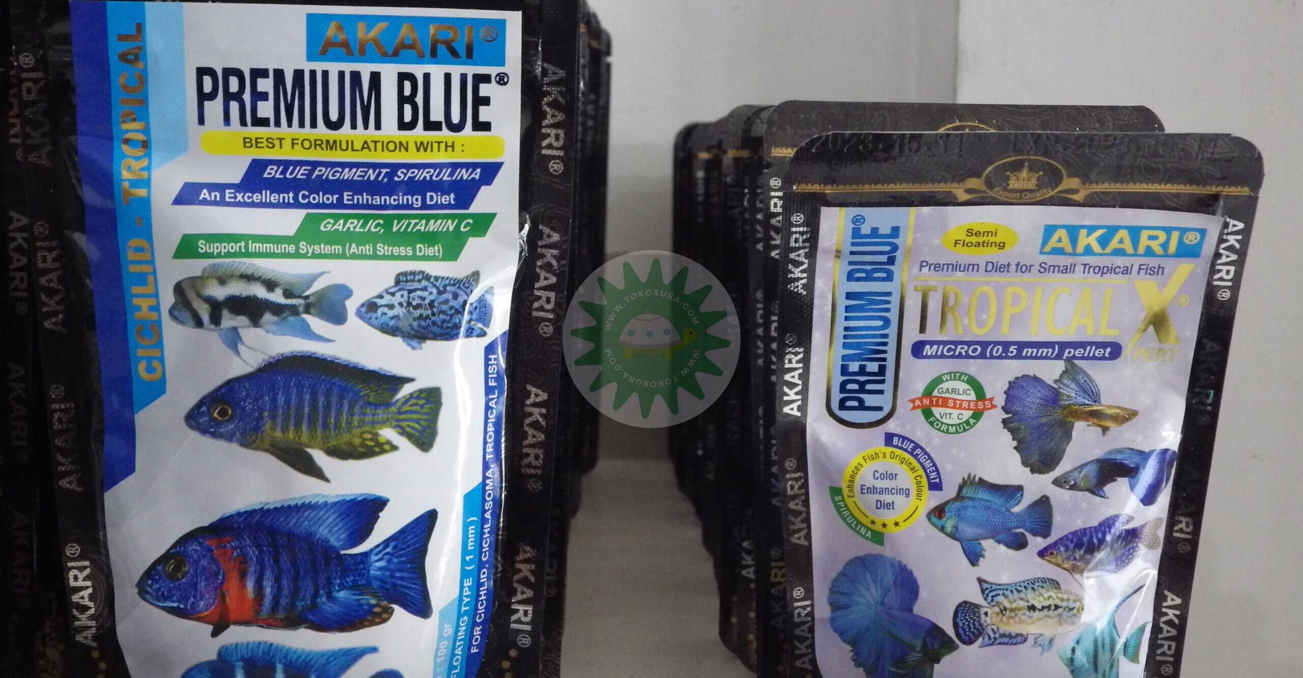 Mengatasi Stres pada Kura-kura Darat