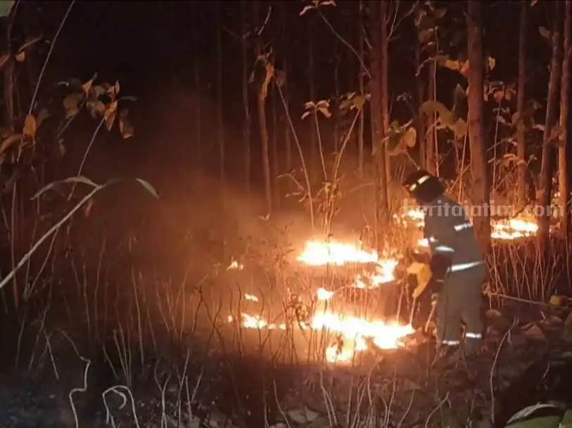 Lahan Seluas 3 Hektare Hutan Khayangan Api Bojonegoro Terbakar